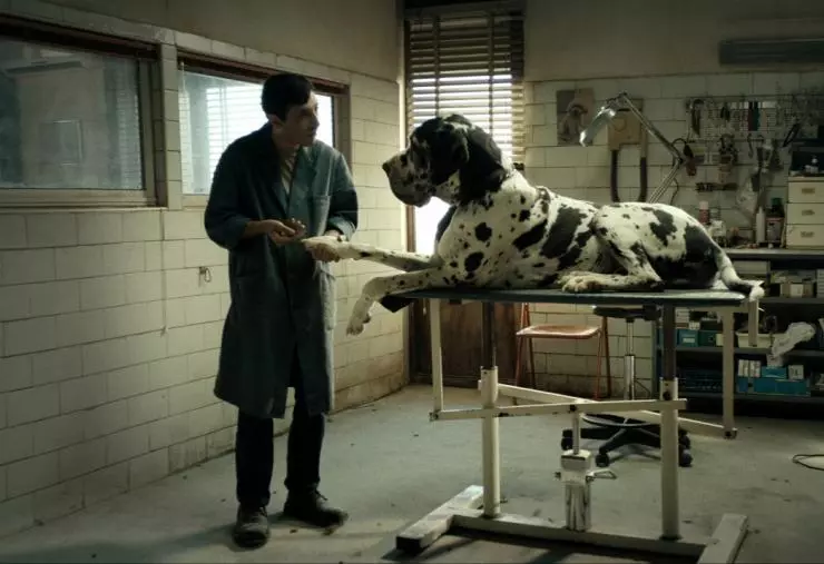 Кадр из Догмэн (2018) Кадр из Догмэн (2018)