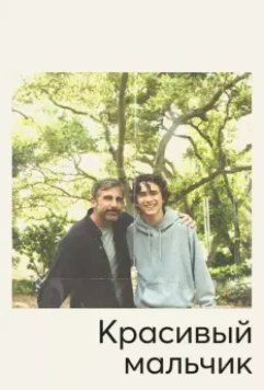 Красивый мальчик / Beautiful Boy (2018)