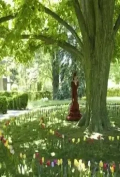Кадр из Фиби в Стране чудес (2008) Кадр из Фиби в Стране чудес (2008)