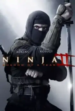 Ниндзя 2 / Ninja: Shadow of a Tear (2013)