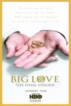 Большая любовь / Big Love (2006)