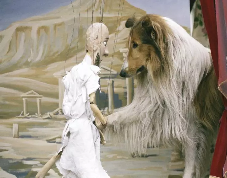 Кадр из Лэсси (2005) Кадр из Лэсси (2005)