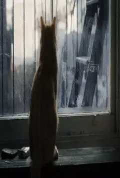 Кадр из Внутри Льюина Дэвиса (2012) Кадр из Внутри Льюина Дэвиса (2012)