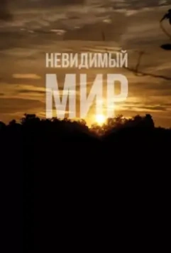 Невидимый мир / Mundo Invisível (2012)