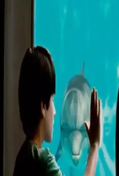 Кадр из История дельфина (2011) Кадр из История дельфина (2011)