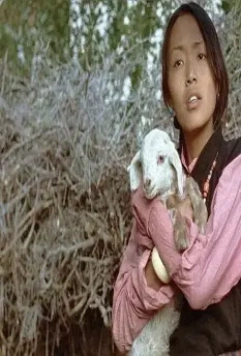 Кадр из Учение Миларепы (2006) Кадр из Учение Миларепы (2006)