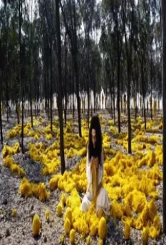Кадр из Женщины без мужчин (2009) Кадр из Женщины без мужчин (2009)