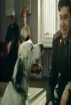 Кадр из Белый Бим Черное ухо (1976) Кадр из Белый Бим Черное ухо (1976)