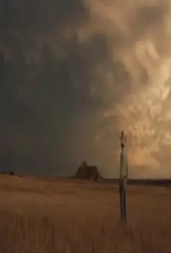 Кадр из Наездник (2017) Кадр из Наездник (2017)