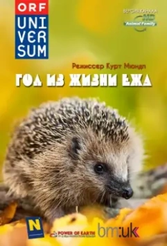 Год из жизни ежа / The Year of the Hedgehog (2009)