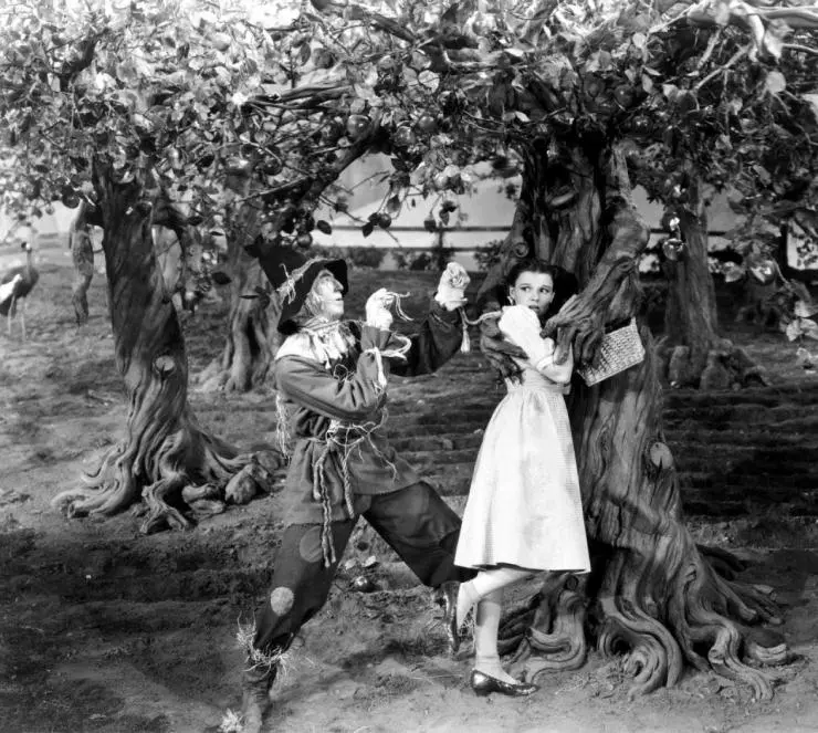 Кадр из Волшебник страны Оз (1939) Кадр из Волшебник страны Оз (1939)