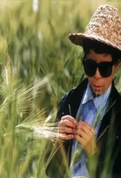 Кадр из Цвет рая (1999) Кадр из Цвет рая (1999)