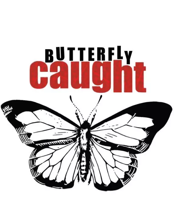 Поймать бабочку / Butterfly Caught (2017)