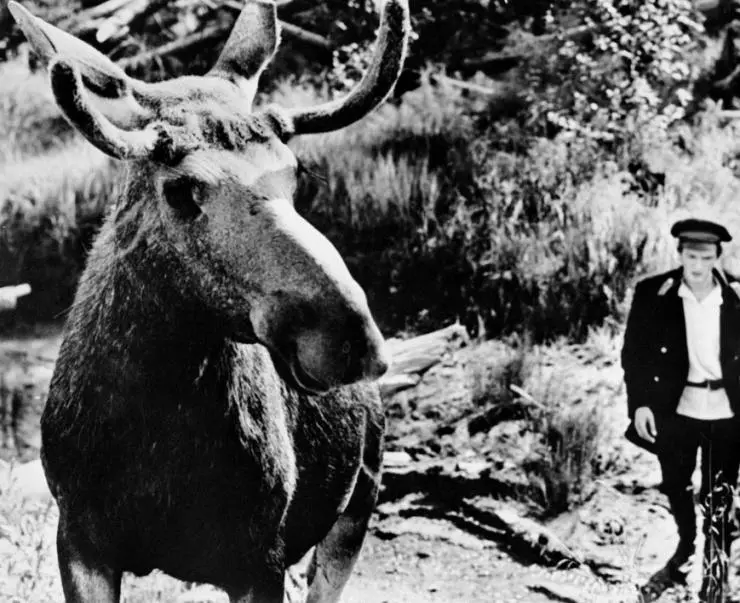 Кадр из Тропой бескорыстной любви (1971) Кадр из Тропой бескорыстной любви (1971)