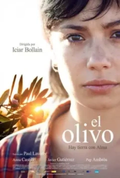 Олива / The olive tree (2016)
