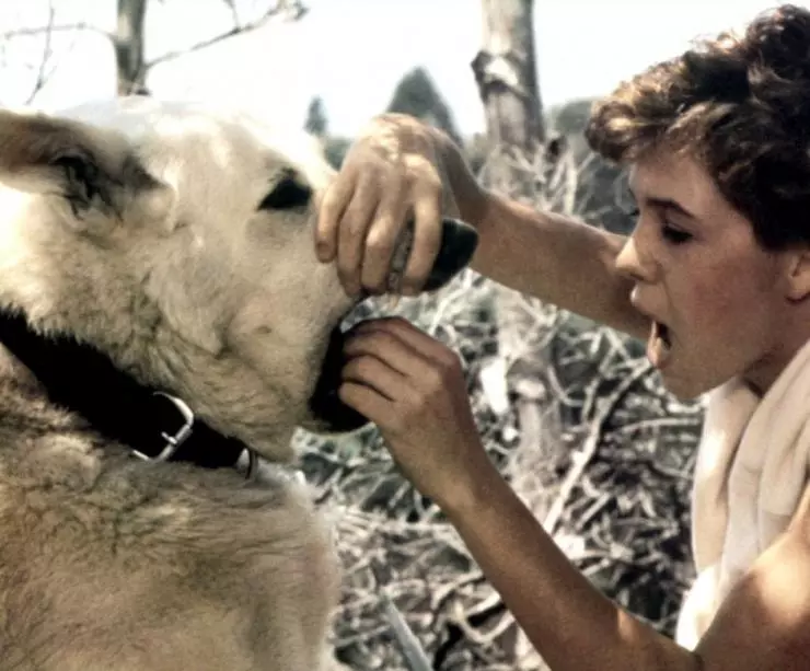 Кадр из Белая собака (1982) Кадр из Белая собака (1982)