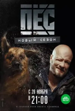 Пёс (2015)