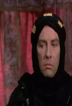 Кадр из Робин из Шервуда (1984) Кадр из Робин из Шервуда (1984)