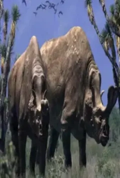 Кадр из Прогулки с чудовищами (2001) Кадр из Прогулки с чудовищами (2001)