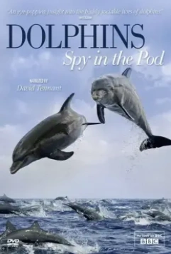 Дельфины скрытой камерой / Dolphins: Spy in the Pod (2014)