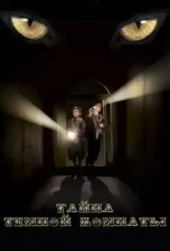 Тайна тёмной комнаты (2014)