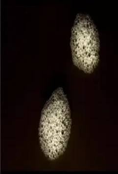 Кадр из Генезис (2004) Кадр из Генезис (2004)