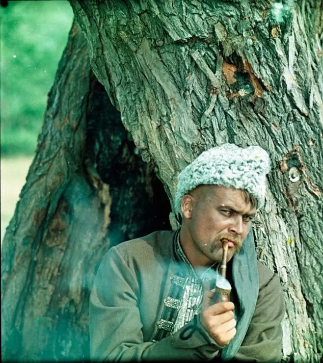 Кадр из Пропавшая грамота (1972) Кадр из Пропавшая грамота (1972)