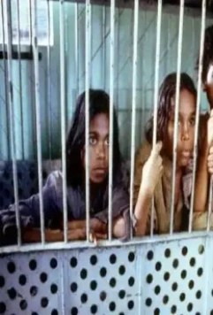 Кадр из Клетка для кроликов (2002) Кадр из Клетка для кроликов (2002)