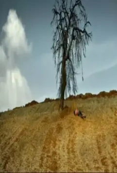 Кадр из Дикая груша (2018) Кадр из Дикая груша (2018)