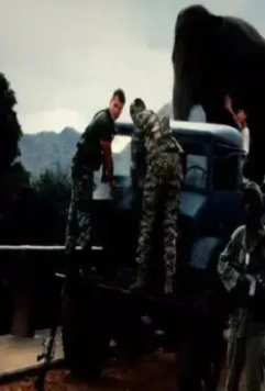 Кадр из Операция "Слон" (1995) Кадр из Операция "Слон" (1995)