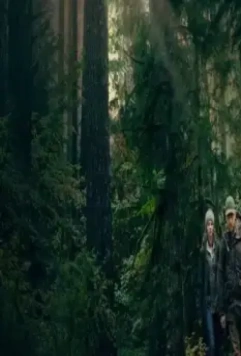 Кадр из Не оставляй следов (2018) Кадр из Не оставляй следов (2018)