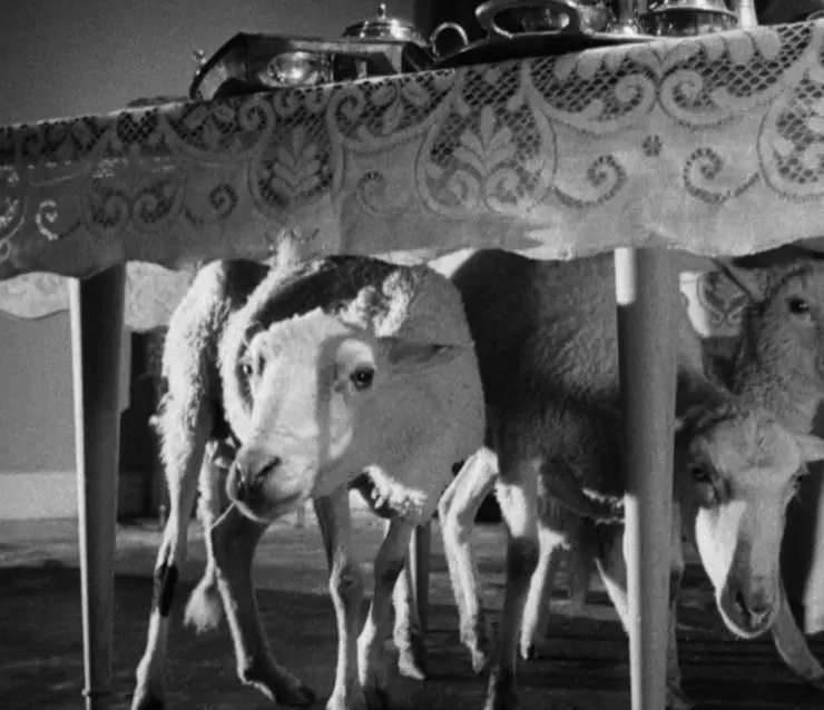 Кадр из Ангел-истребитель (1962) Кадр из Ангел-истребитель (1962)