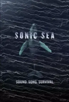 Оглушающий океан / Sonic Sea (2016)