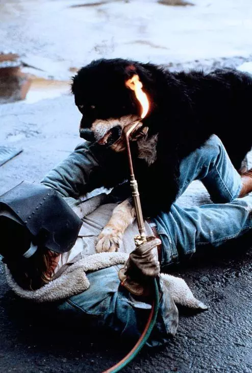 Кадр из Лучший друг человека (1993) Кадр из Лучший друг человека (1993)