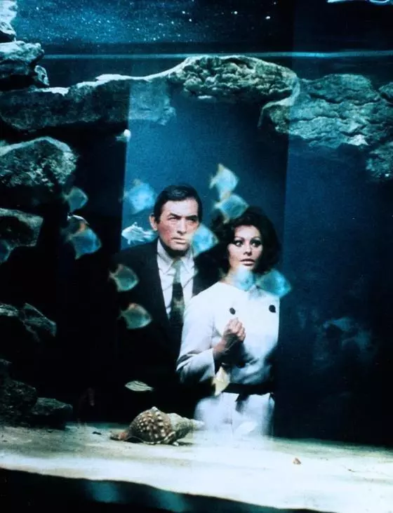 Кадр из Арабеска (1966) Кадр из Арабеска (1966)