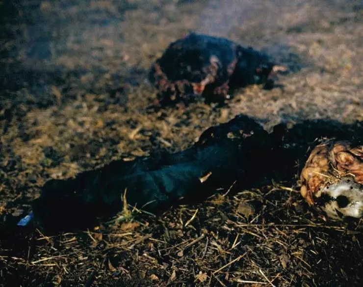 Кадр из Джейсон отправляется в ад: Последняя пятница (1993) Кадр из Джейсон отправляется в ад: Последняя пятница (1993)