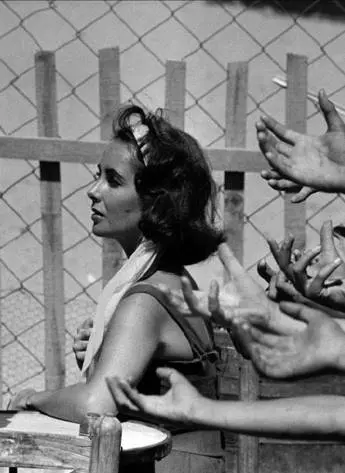 Кадр из Внезапно, прошлым летом (1960) Кадр из Внезапно, прошлым летом (1960)
