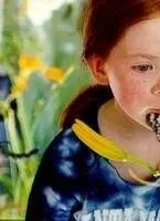 Кадр из Бабочка (2002) Кадр из Бабочка (2002)