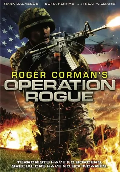 Операция «Возмездие» / Operation Rogue (2014)