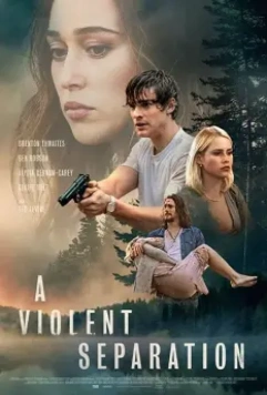 Насильственное разделение / A Violent Separation (2019)