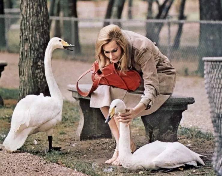 Кадр из Брюстер МакКлауд (1970) Кадр из Брюстер МакКлауд (1970)