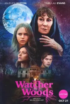 Лесной наблюдатель / The Watcher in the Woods (2017)