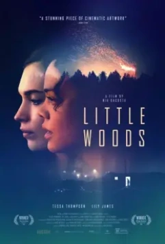 Лесок / Little.Woods (2018)