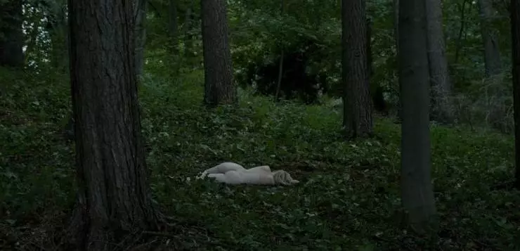 Кадр из Мистериум. Убийцы фазана (2014) Кадр из Мистериум. Убийцы фазана (2014)