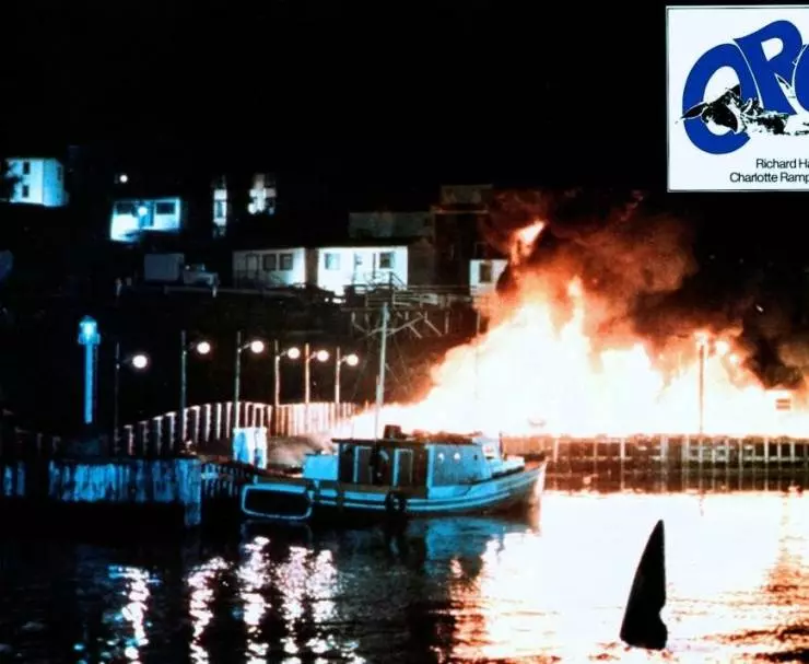 Кадр из Смерть среди айсбергов (1977) Кадр из Смерть среди айсбергов (1977)