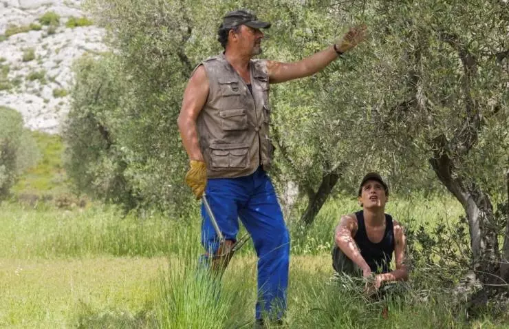 Кадр из Каникулы в Провансе (2014) Кадр из Каникулы в Провансе (2014)
