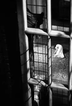 Кадр из Злая леди (1945) Кадр из Злая леди (1945)