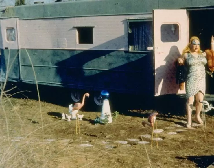 Кадр из Розовые фламинго (1972) Кадр из Розовые фламинго (1972)