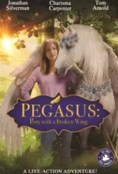 Пони с перебитым крылом / Pegasus: Pony with a Broken Wing (2019)