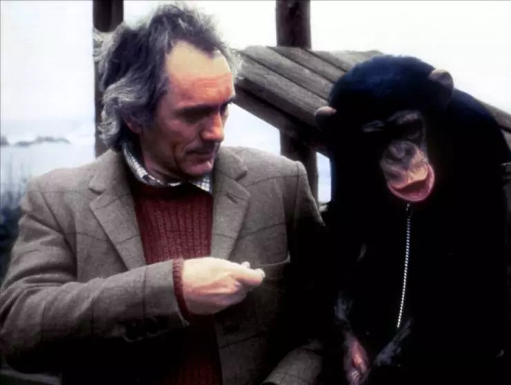 Кадр из Линк (1986) Кадр из Линк (1986)